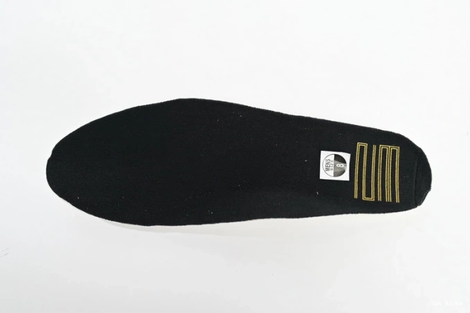 CT8012-170 Jordan Air 11 DMP 0816